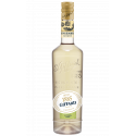 Giffard Gingembre Sans Alcool