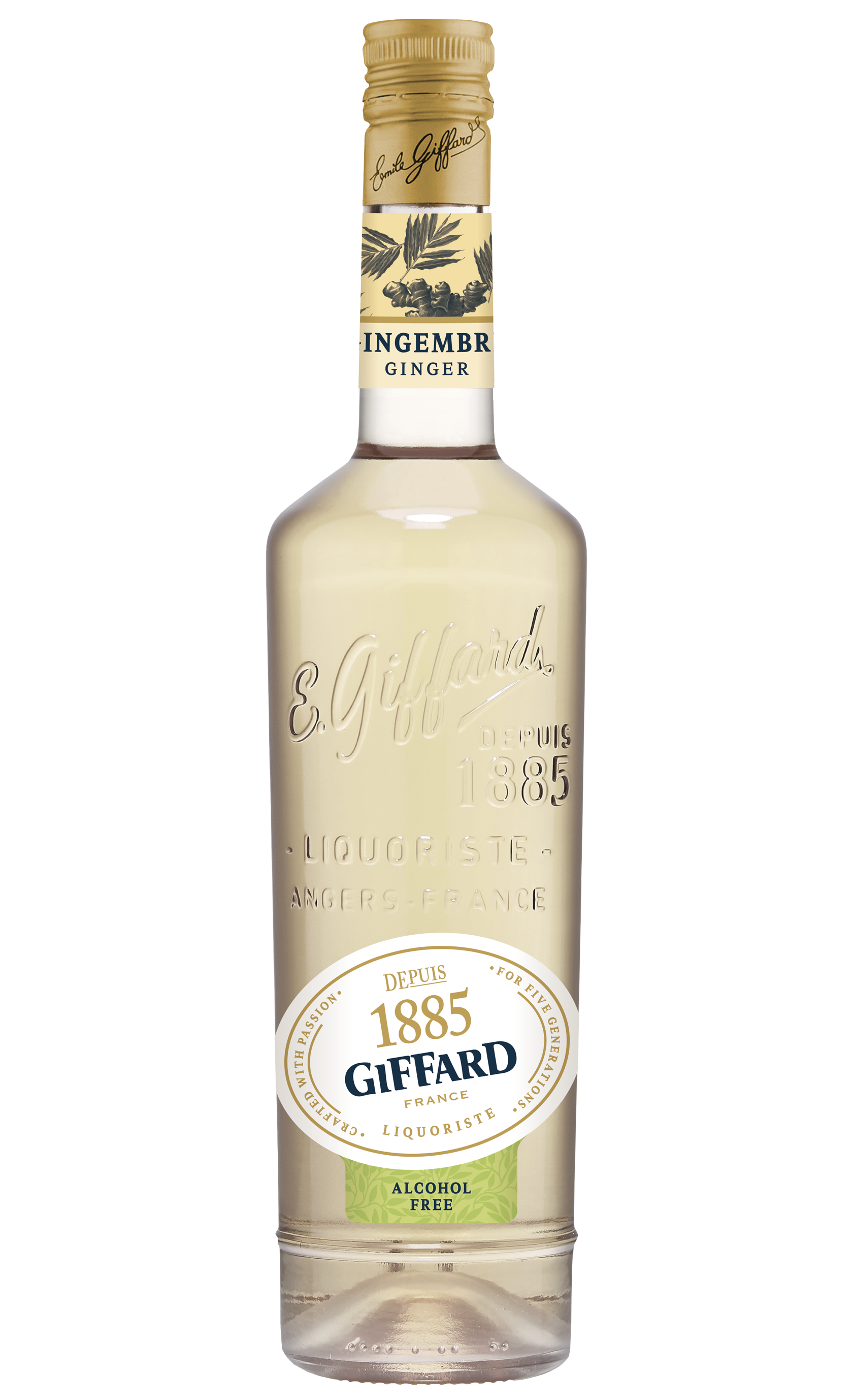 Giffard Gingembre Sans Alcool